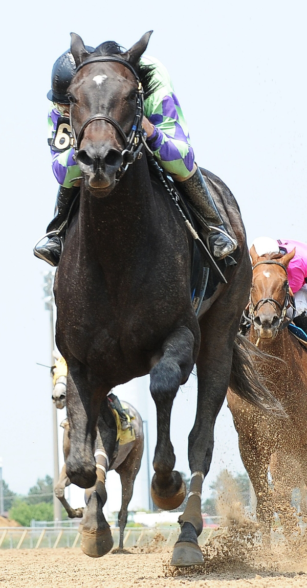 A close-up view of a black racehorse with a jockey riding, running on a dirt track with other horses and riders in the background—an exciting moment that showcases why we should support Texas horse racing.