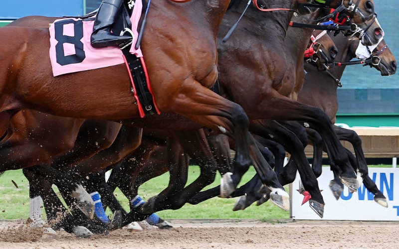 Close-up of racehorses with jockeys, legs extended mid-stride and dirt flying as they compete on a racetrack—an exciting moment reminiscent of the champions honored at the Texas Horse Racing Hall of Fame.