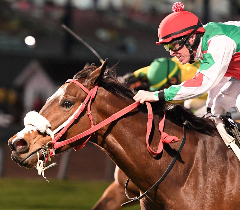 Jockey in red and green silks riding a racehorse during a horse race, with another jockey and horse visible in the background at the Texas Horse Racing Hall of Fame.