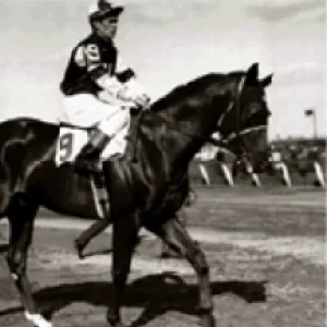 Assault, 1999 Inductee to the Texas Horse Racing Hall of Fame.