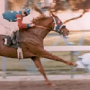 Dash For Cash, 1999 Inductee to the Texas Horse Racing Hall of Fame.