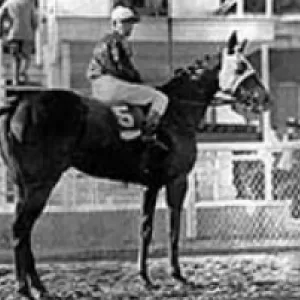Pan Zareta, 1999 Inductee to the Texas Horse Racing Hall of Fame.