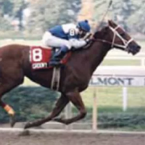 Groovy, 2001 Inductee to the Texas Horse Racing Hall of Fame.