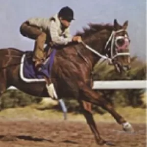 Easy Jet, 2002 Inductee to the Texas Horse Racing Hall of Fame.