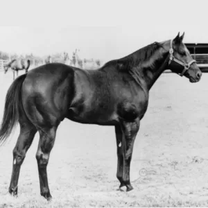 Three O's, 2003 Inductee to the Texas Horse Racing Hall of Fame.