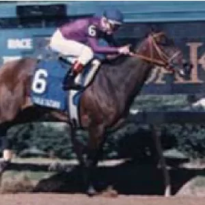 Two Altazano, 2003 Inductee to the Texas Horse Racing Hall of Fame.