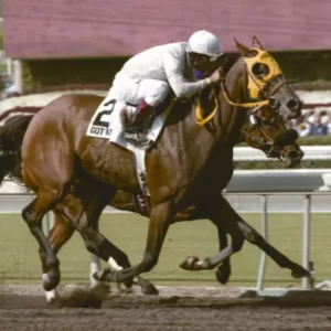 Got KoKo, 2009 Inductee to the Texas Horse Racing Hall of Fame.