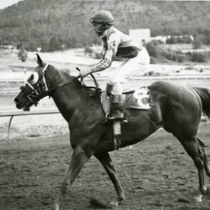 Pass Over, 2009 Inductee to the Texas Horse Racing Hall of Fame.