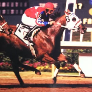 Kool Kue Baby, 2012 Inductee to the Texas Horse Racing Hall of Fame.