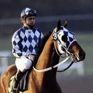 Alysheba, 2019 Inductee to the Texas Horse Racing Hall of Fame.