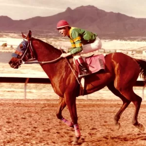 Triple Sec (TB), 2024 Inductee to the Texas Horse Racing Hall of Fame.